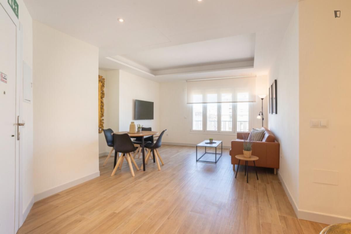 Living room of Apartment to rent in Málaga Capital  with Air Conditioner, Heating and Furnished