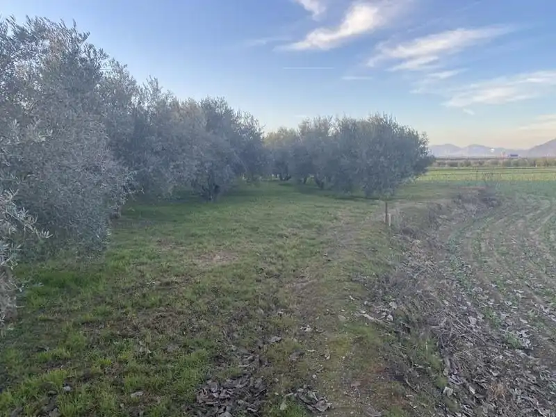 Finca rústica en venda en Vegas del Genil