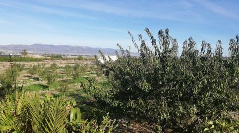 Foto 3 de Casa o xalet en venda a Aguaderas, Murcia