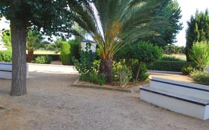 Jardí de Apartament en venda en Dénia