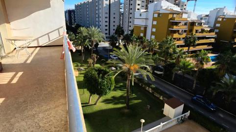 Photo 3 of Flat for sale in Punta Prima, Orihuela