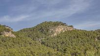 Casa o xalet en venda en Andratx amb Calefacció i Terrassa
