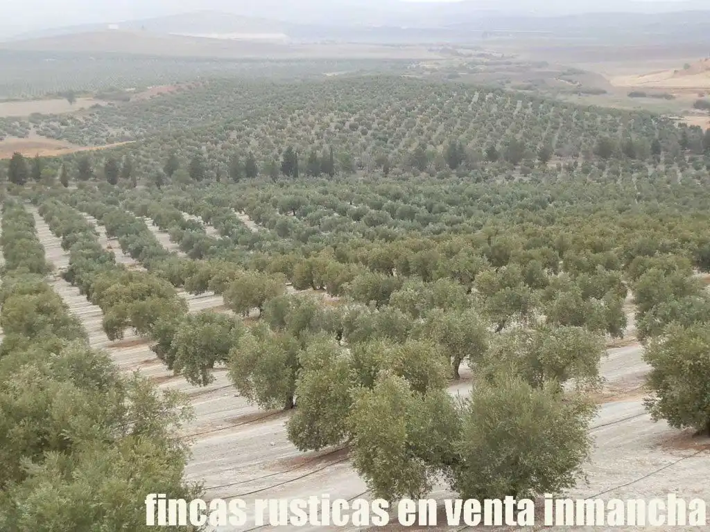 Terreni e lotti in vendita a Andújar, imagen 7