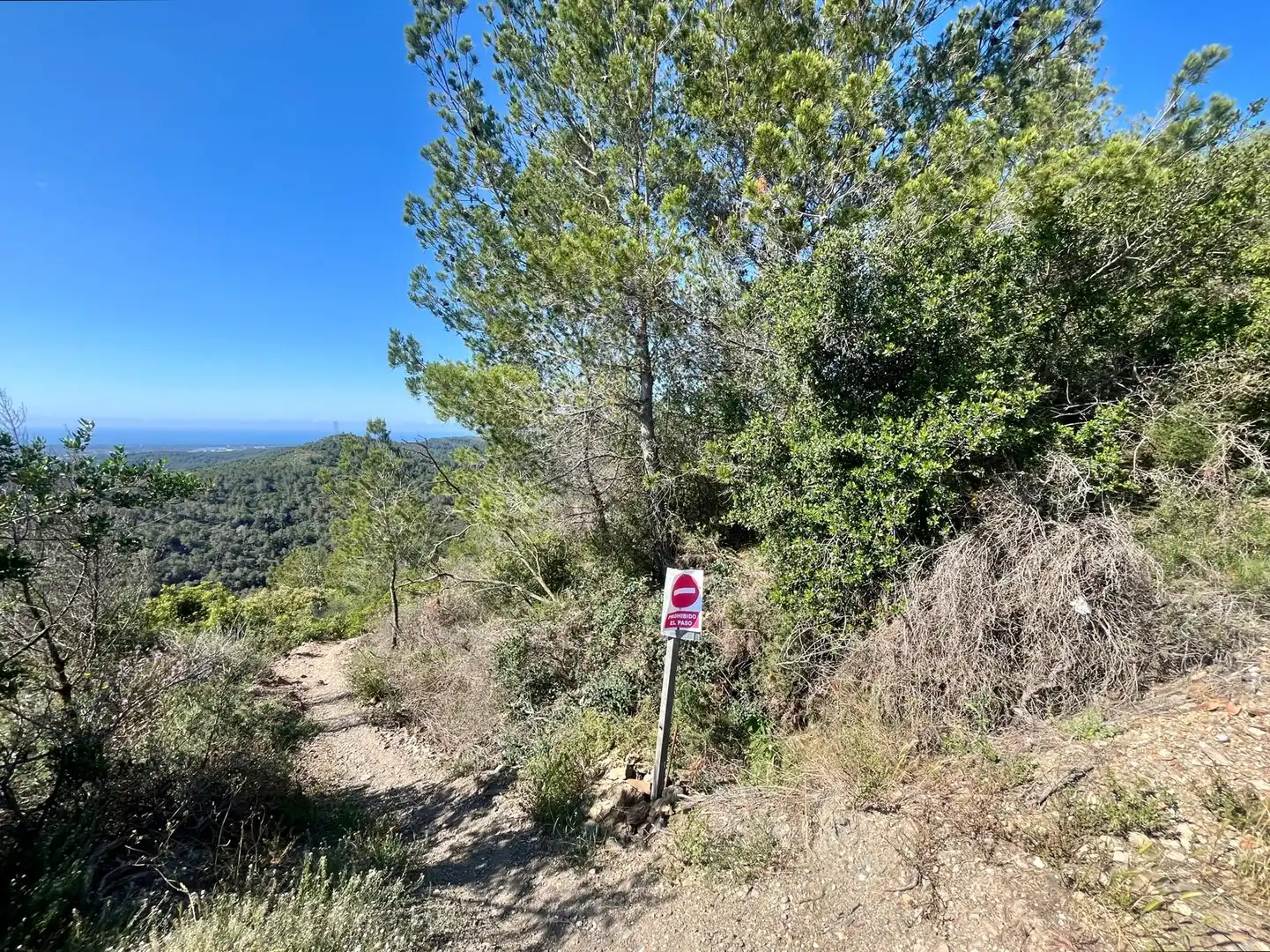 Rural land for sale in Carrer Major 9, imagen 4