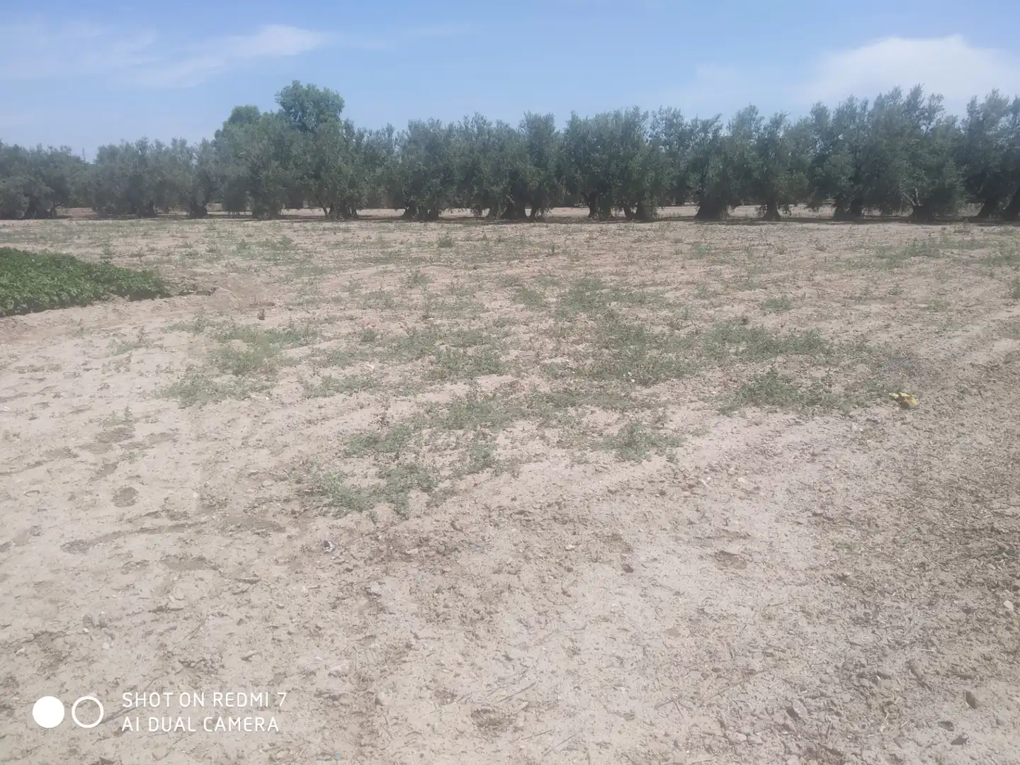 Chalet en venta en Lugar Cortijo Salomon, imagen 11