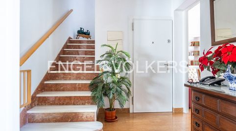 Foto 2 de Casa o chalet en venta en Cruz Roja, Sevilla Capital