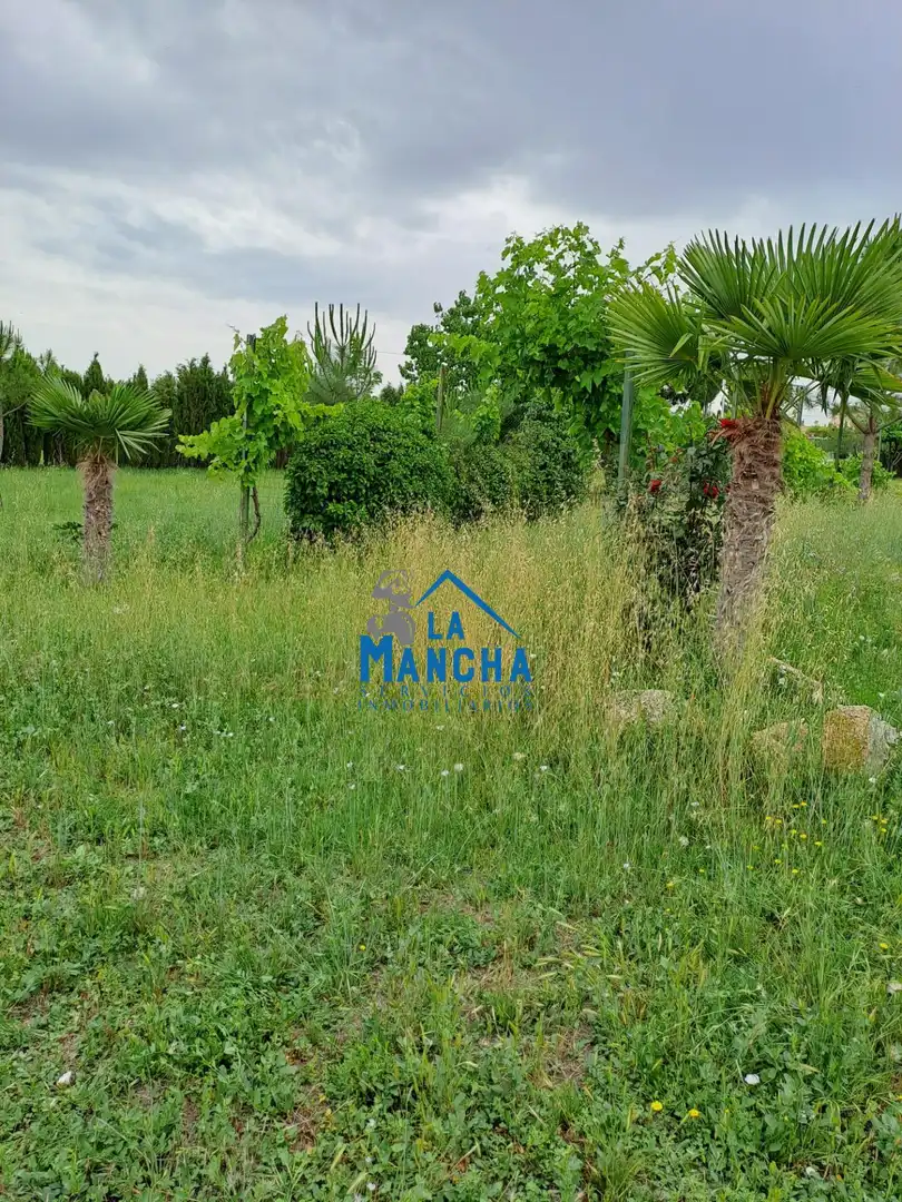 Terreno rustico in vendita a Polígono 68 Paraje 136 CASICA OREA, imagen 7