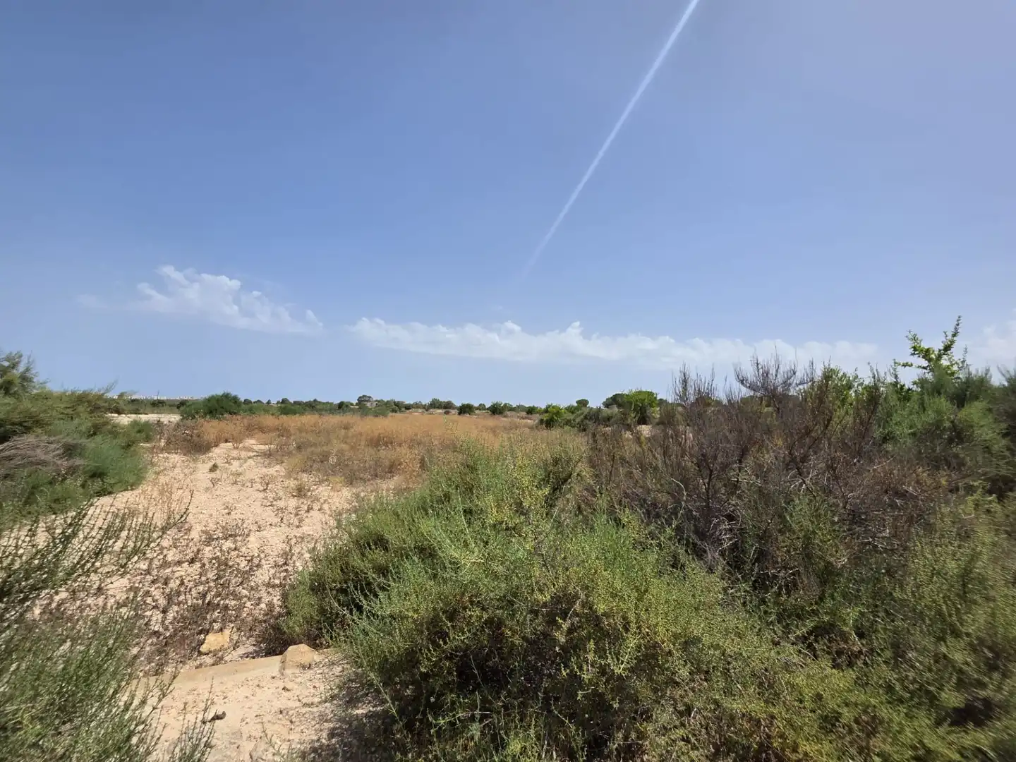 Terrain rustique à vendre à El Altet, imagen 6