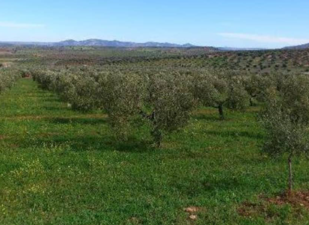 Residential for sale in Génave