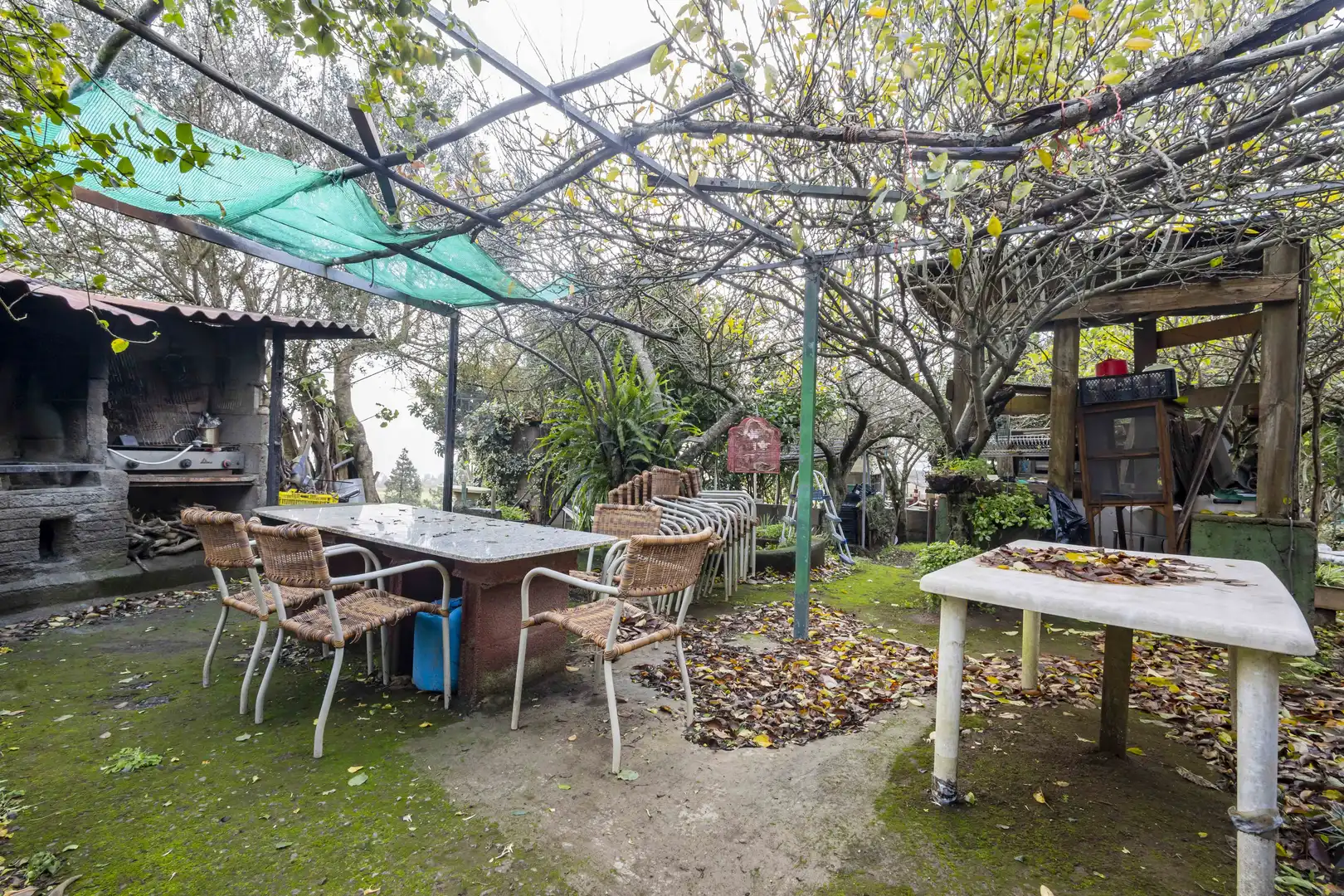Jardín de Finca rústica en venta en San Cristóbal de la Laguna con Calefacción, Jardín privado y Terraza