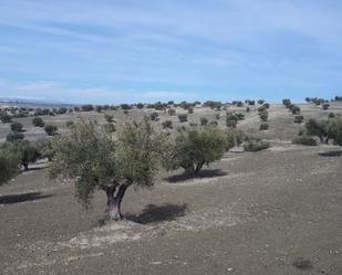 Terreny en venda en Alameda de la Sagra