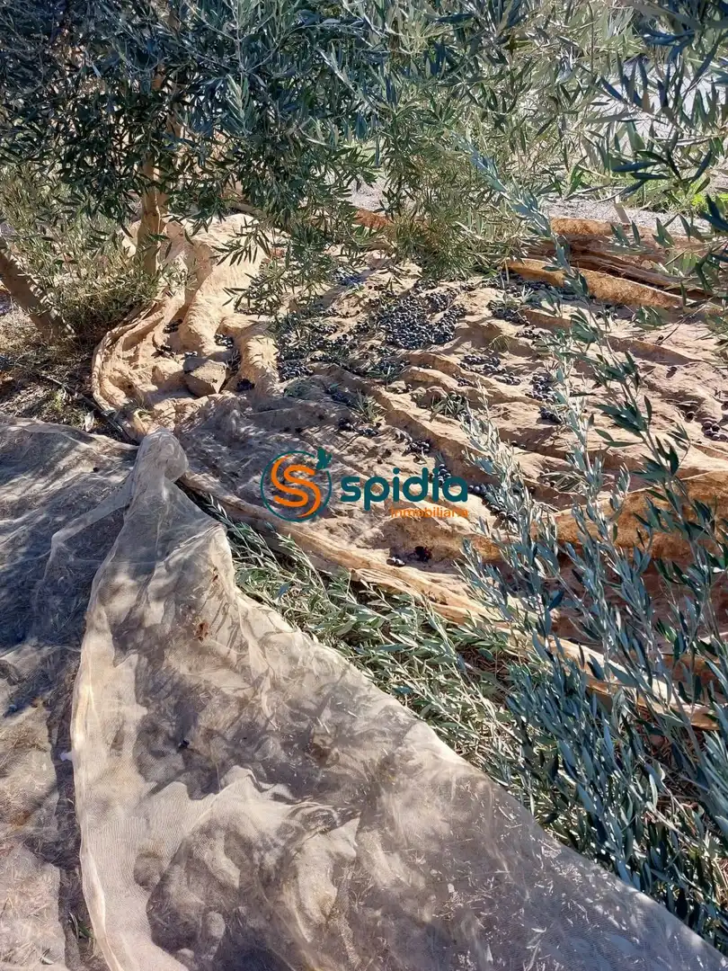 Casa rustica con giardino in vendita a Calabardina, imagen 31