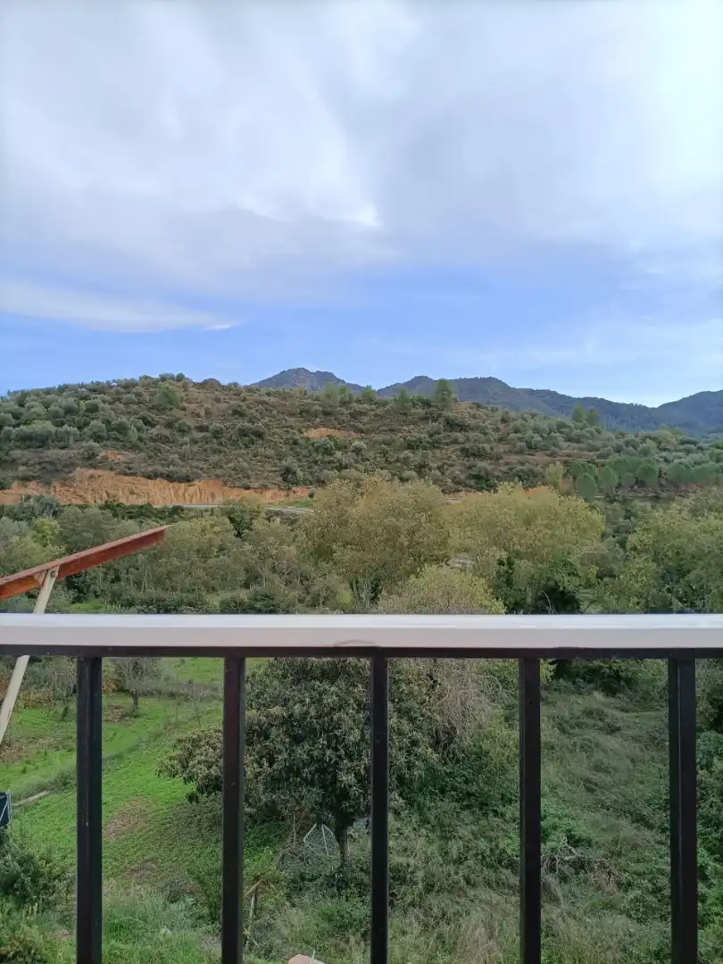 Vista exterior de Casa o xalet en venda en Algimia de Almonacid amb Jardí privat, Terrassa i Moblat