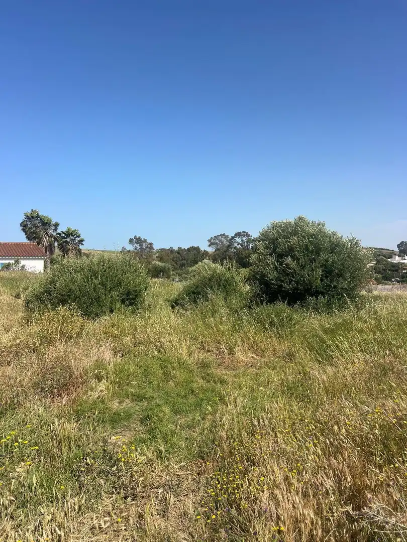 Terreno rustico in vendita a Barbate ciudad, imagen 10