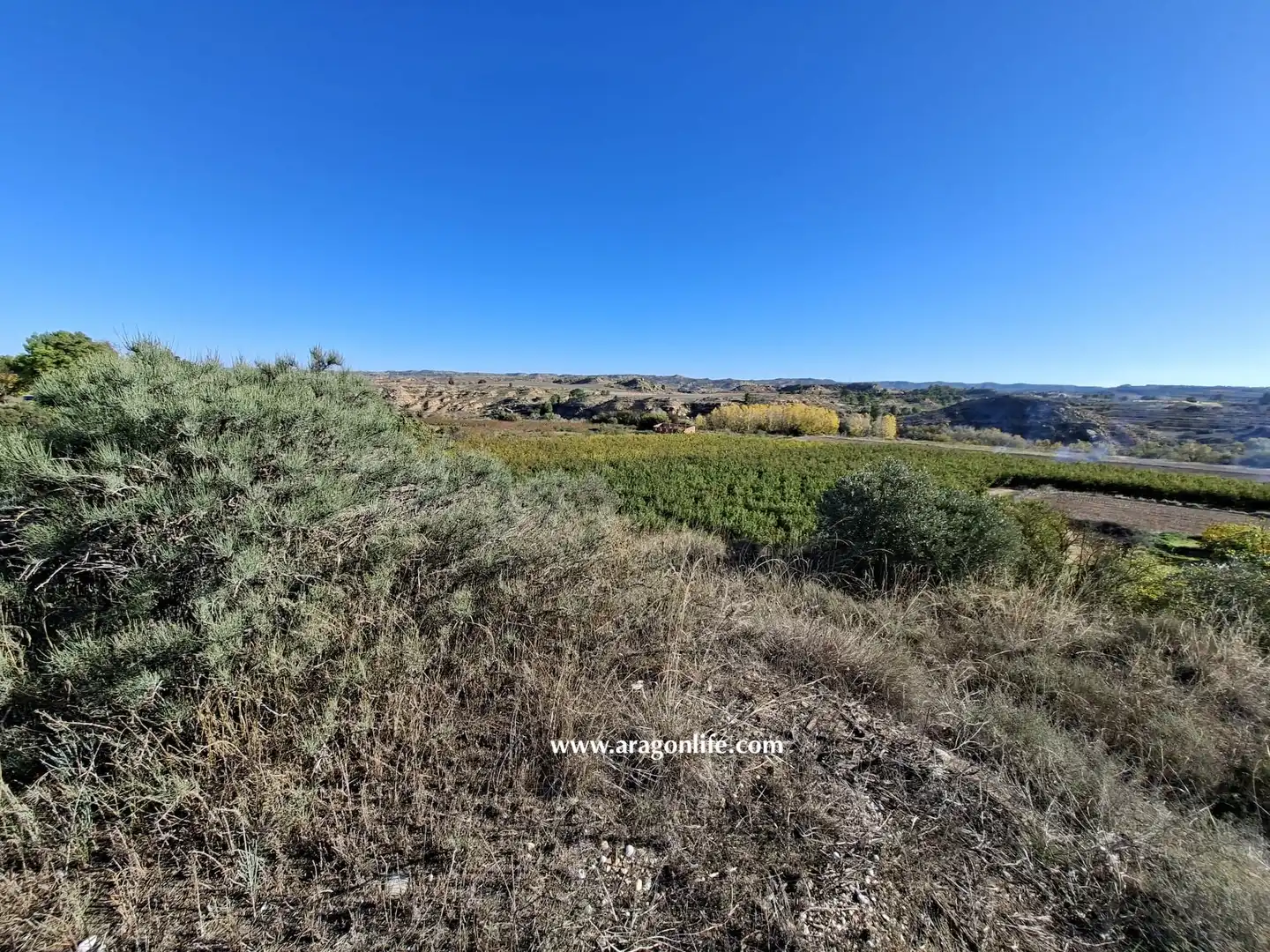 Finca rústica en venta en Caspe