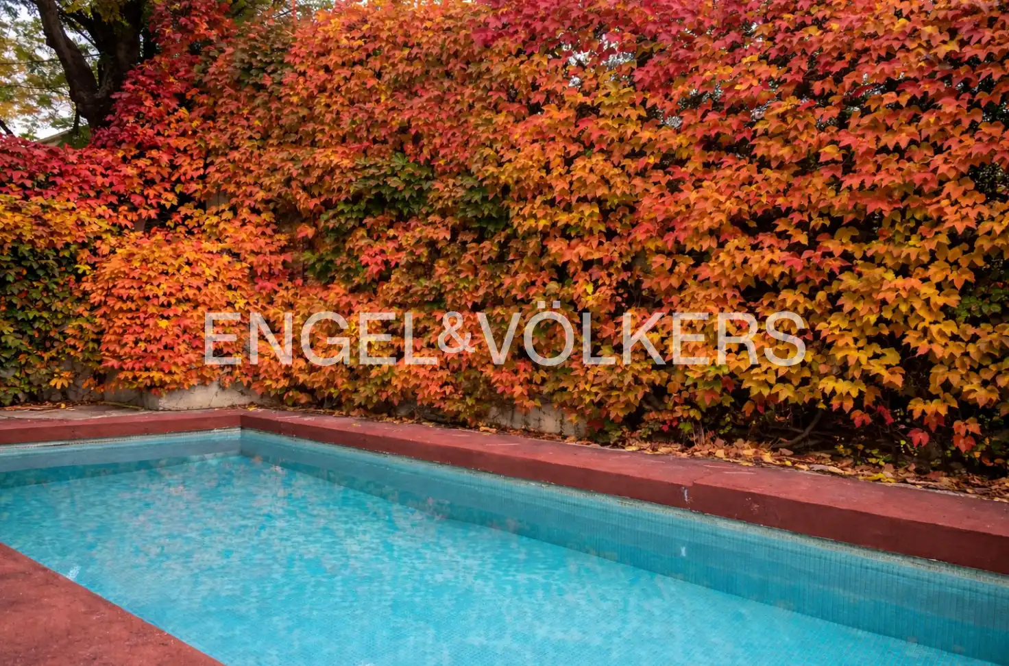 Swimming pool of Houses for sale in Madrid  with Air Conditioner, Heating and Private garden