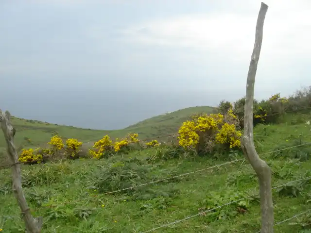 Casa rústica en venda a Cañada de Matatoros, imagen 9