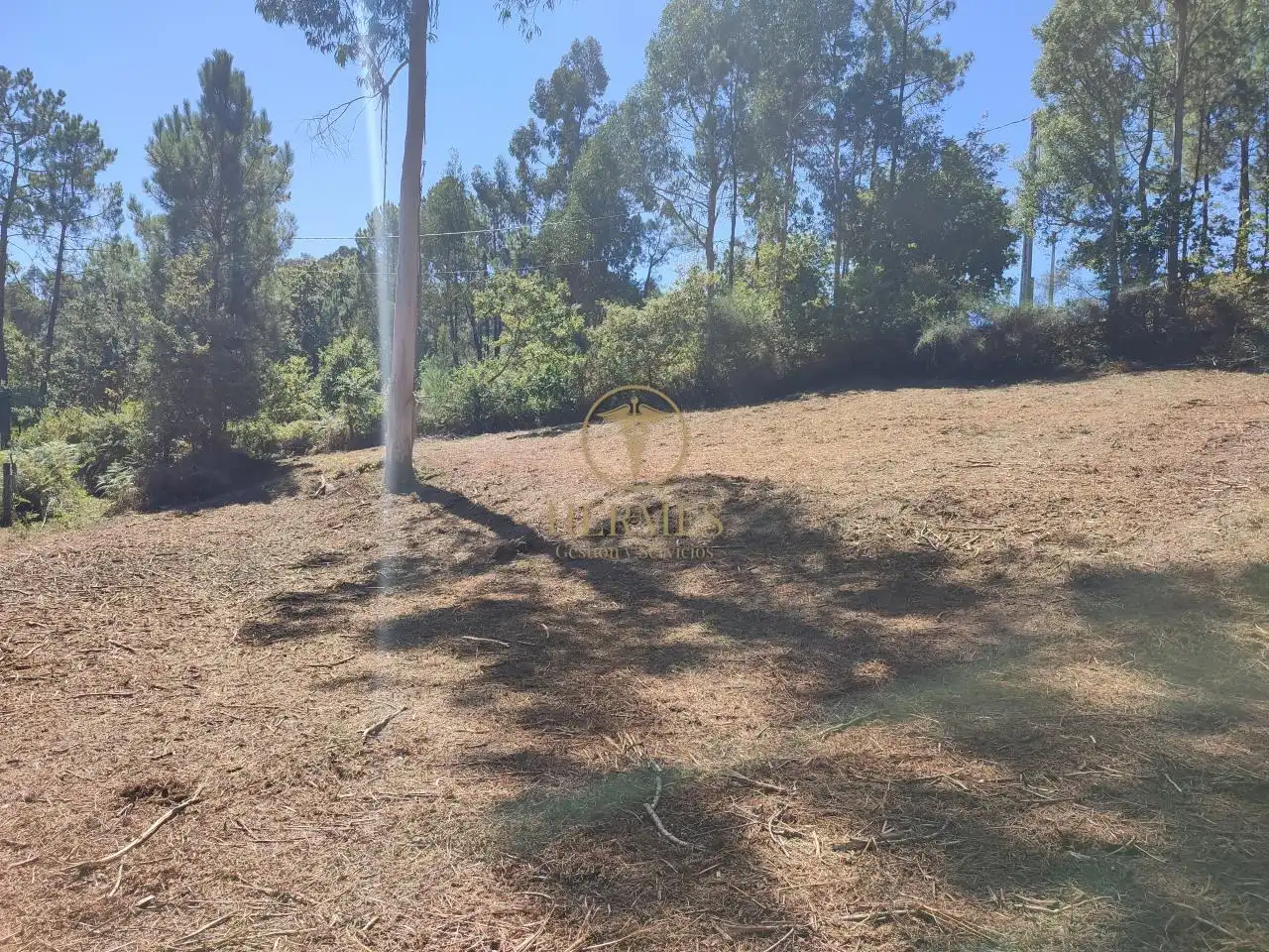 Terreno rustico in vendita a Tui, imagen 2