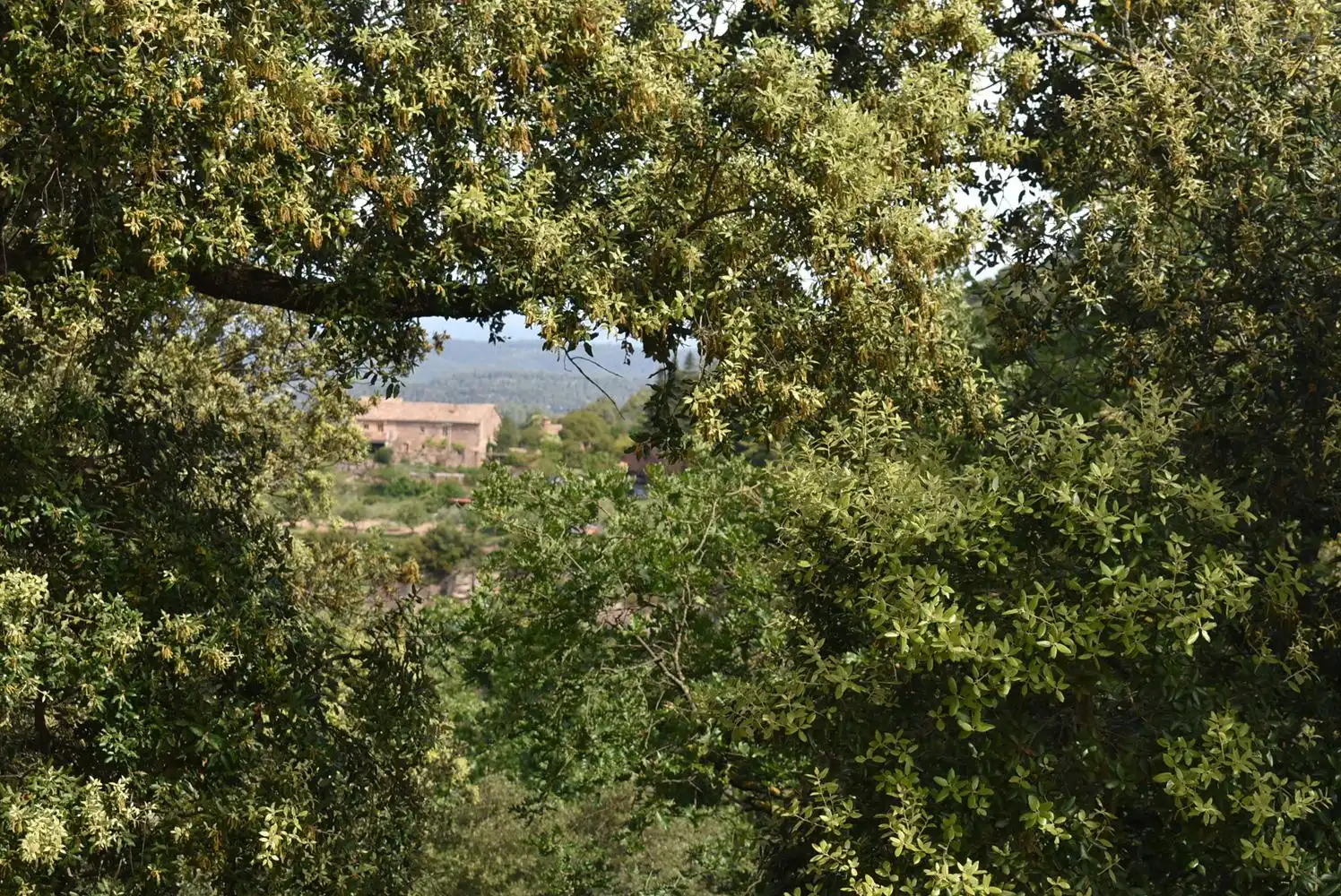 Jardín de Finca rústica en venta en Granera con Terraza, Balcón y Internet