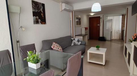 Foto 4 de Pis de lloguer a Calle Inmaculada del Pla, Pla de Bon Repós, Alicante