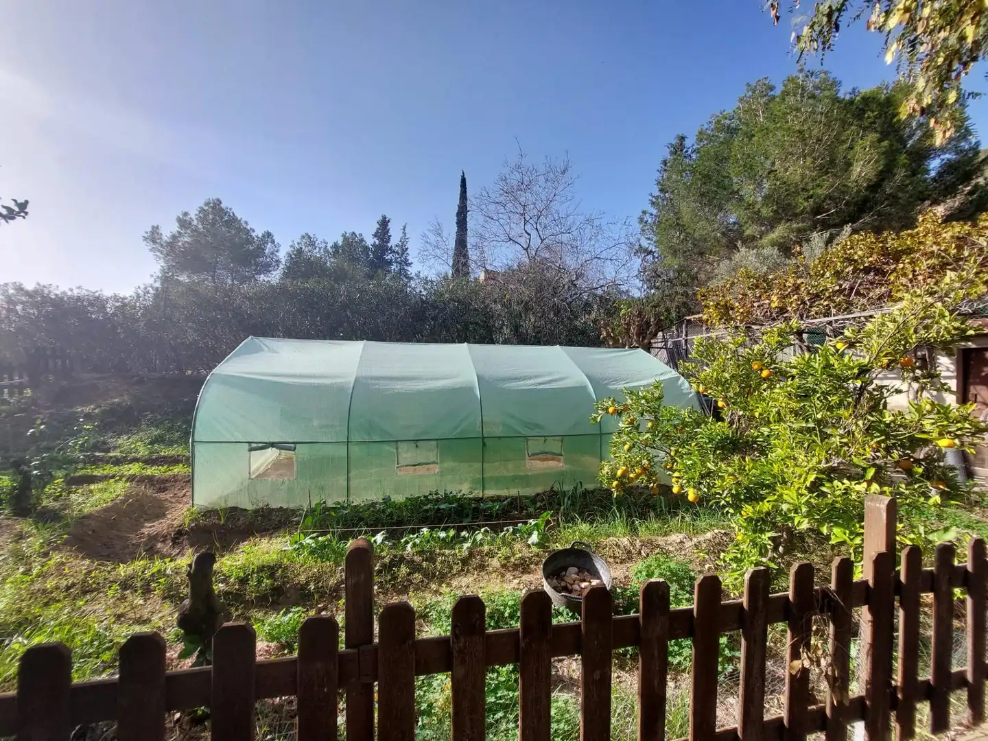 Garden of Country homes for sale in Murcia  with Air Conditioner, Heating and Private garden