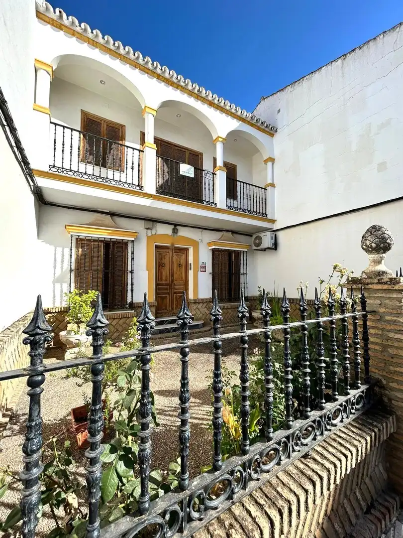 Vista exterior de Casa o chalet en venta en Alcolea del Río con Aire acondicionado, Terraza y Amueblado