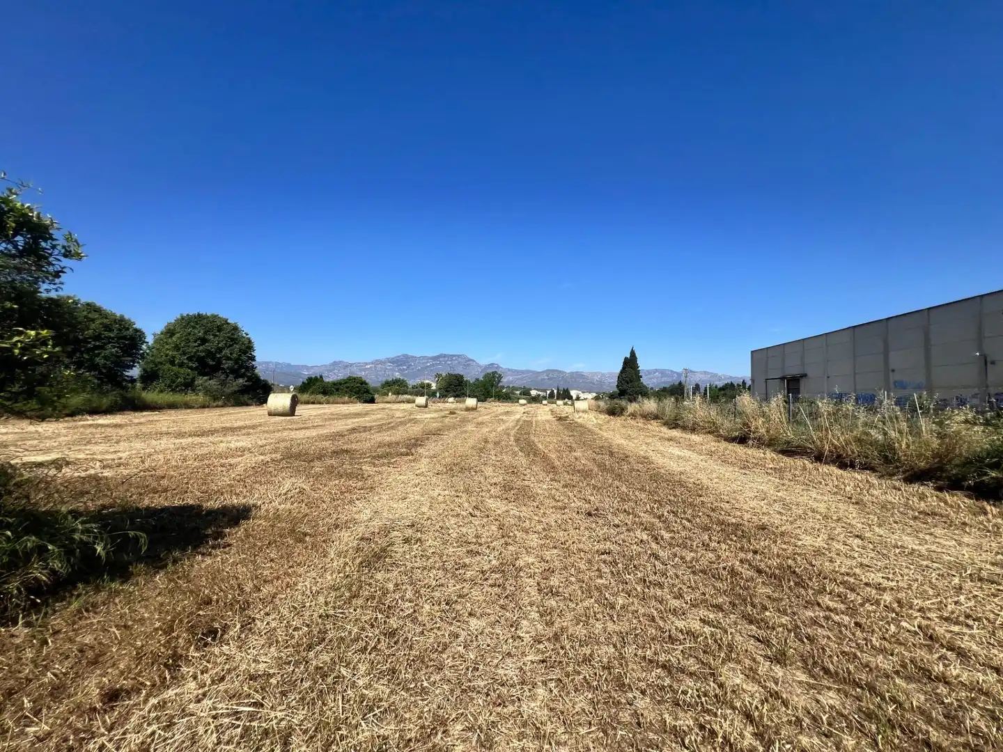 Rural land for sale in Carretera de València 5, imagen 12
