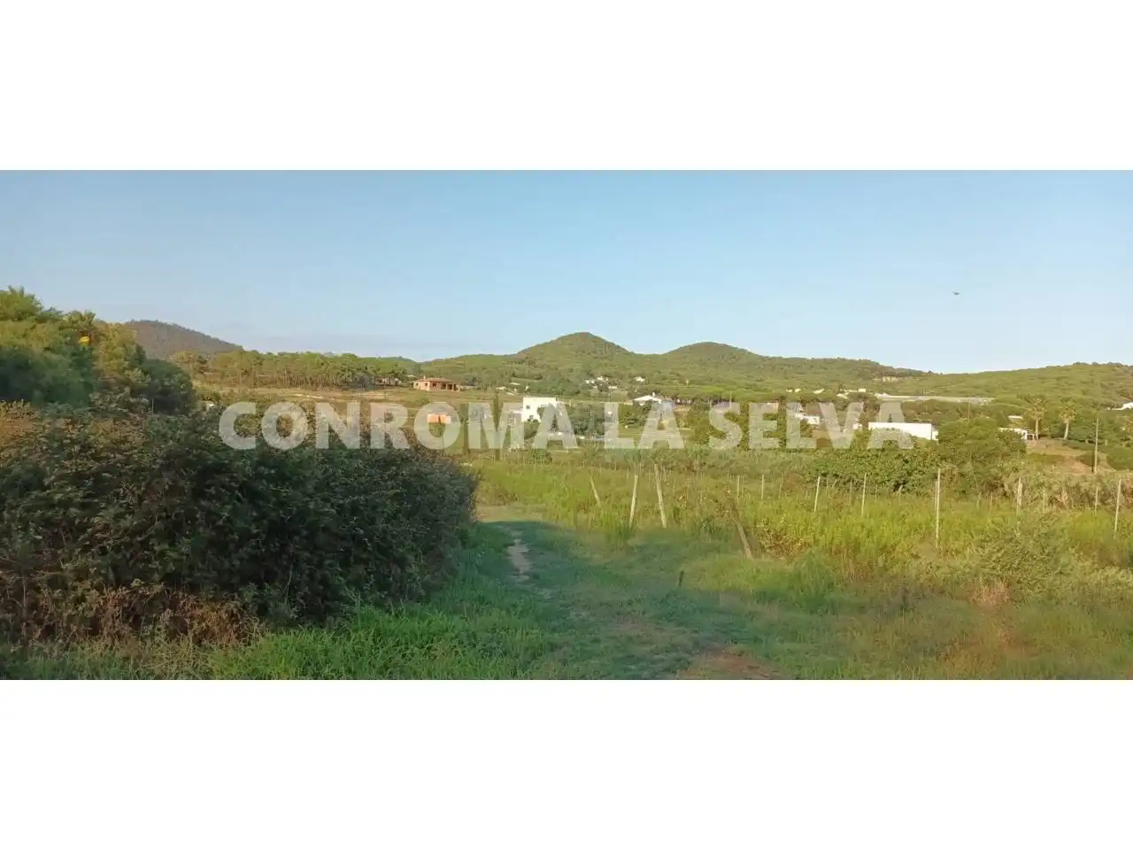 Terreno rustico in vendita a Mas Mora - Sant Daniel, imagen 8