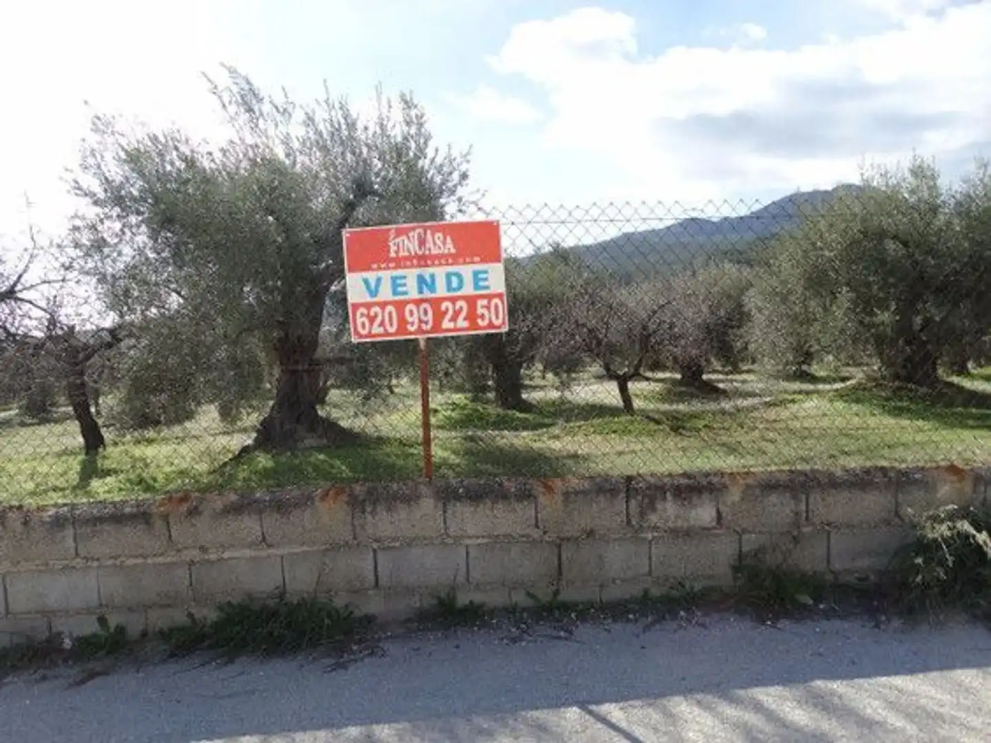 Terreni e lotti in vendita a Moratalla, imagen 2