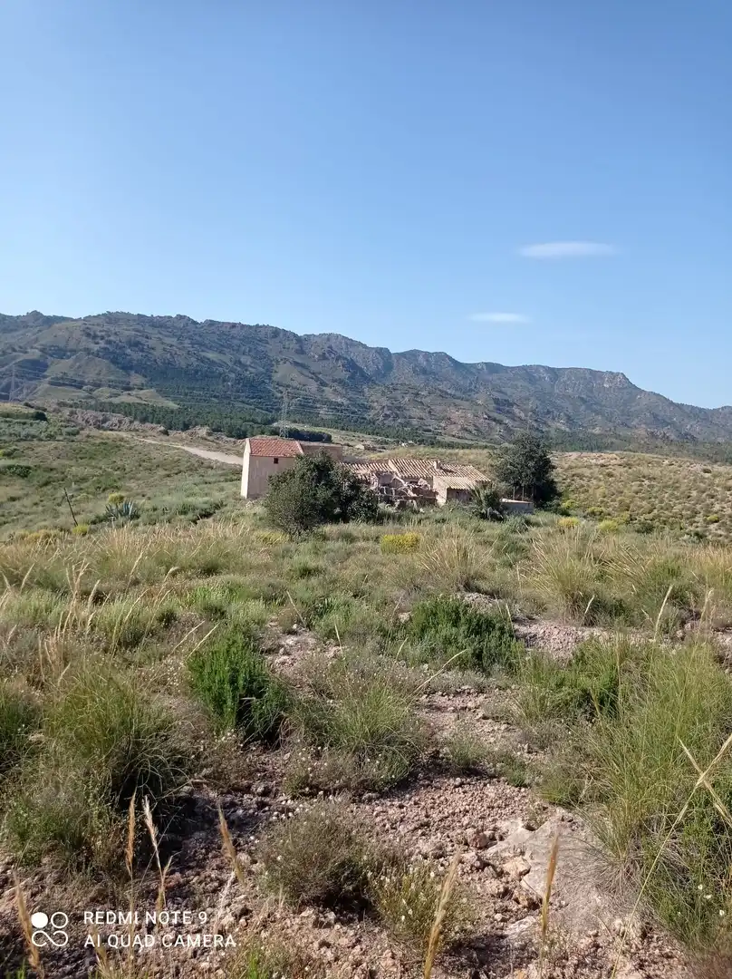 Terrains et parcelles à vendre à Pedanías Centro, imagen 5