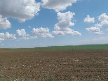 Terrain rustique à vendre à Carmona