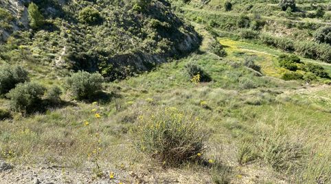 Foto 2 de Terreno en venta en Lorca, S/n, Puntarrón, Lorca