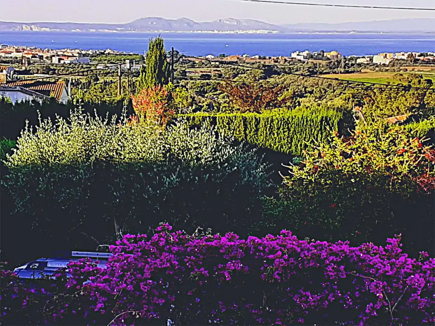 Jardín de Casa o chalet en venta en Roses con Aire acondicionado, Piscina y Balcón