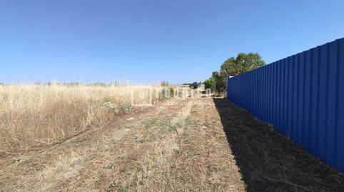 Terreno en Venta en El Álamo, imatge 2
