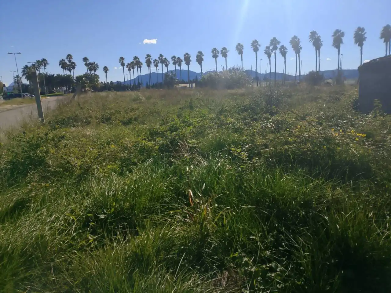 Terreno en venta en Oliva