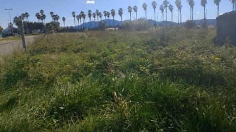 Photo 3 of Land for sale in Calle Estación de Ferrocarril, 1, Oliva Nova, Valencia