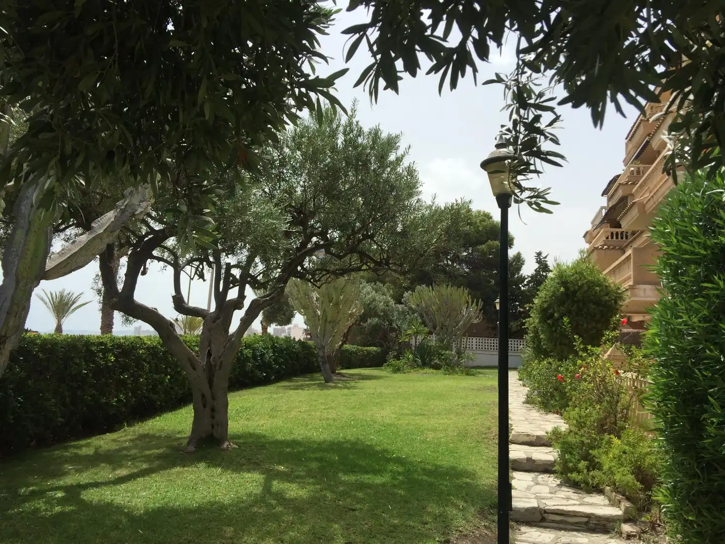 Garden of Flat for sale in El Campello  with Private garden, Terrace and Balcony