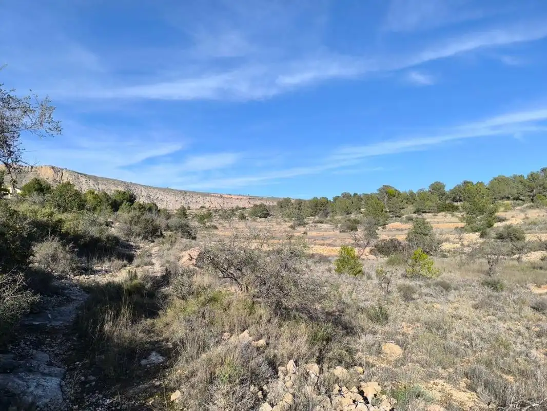 Rural land for sale in C-3320, imagen 7
