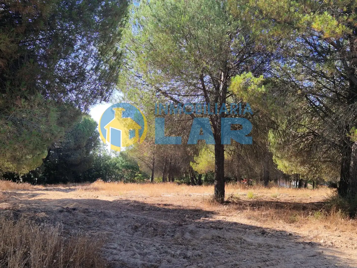 Terreni e lotti in vendita a Bonares, imagen 8