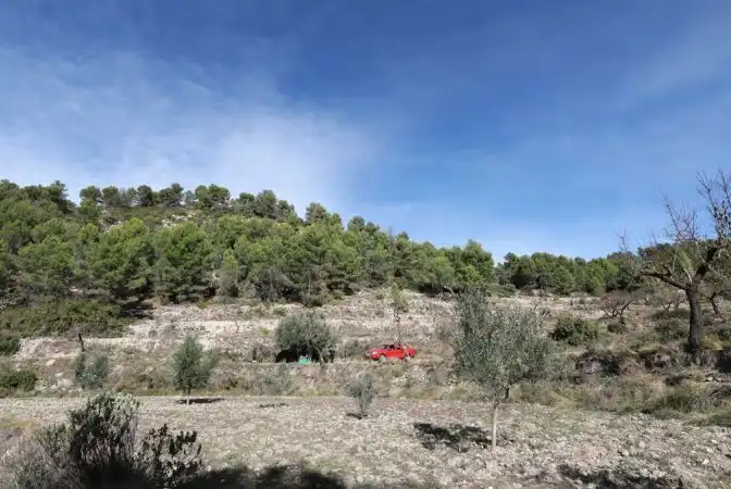 Rural land for sale in Torremanzanas / La Torre de les Maçanes, imagen 10