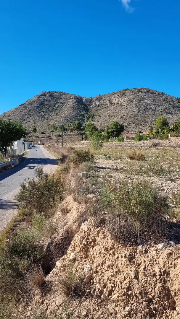 Land for sale in Aspe