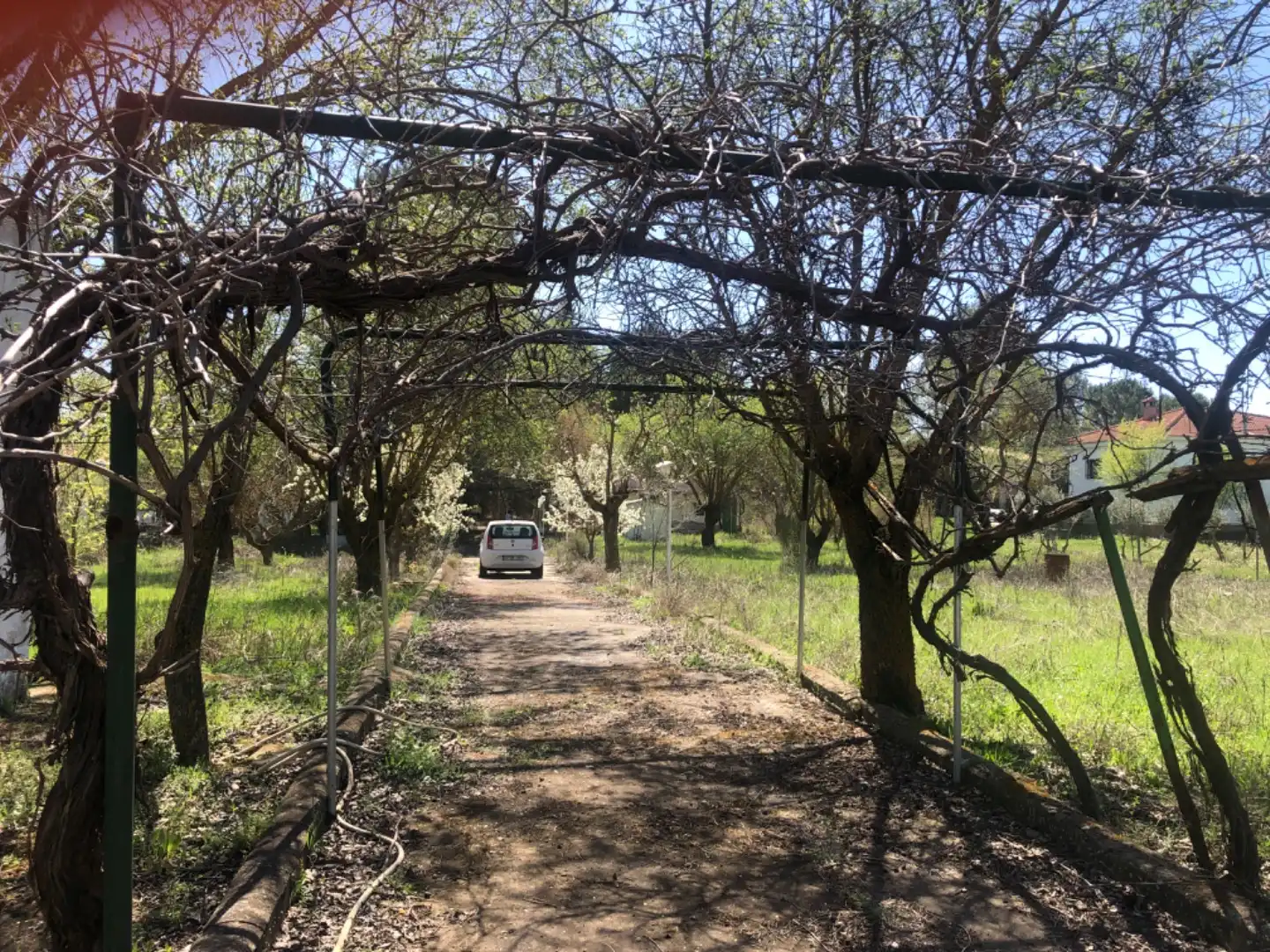 Terreni e lotti in vendita a Camino del manzano 24, imagen 16