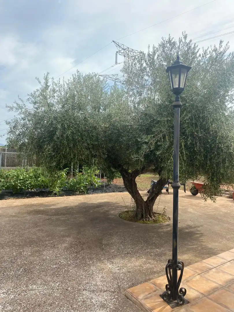 Villa avec piscine à vendre à Madrigal, imagen 3