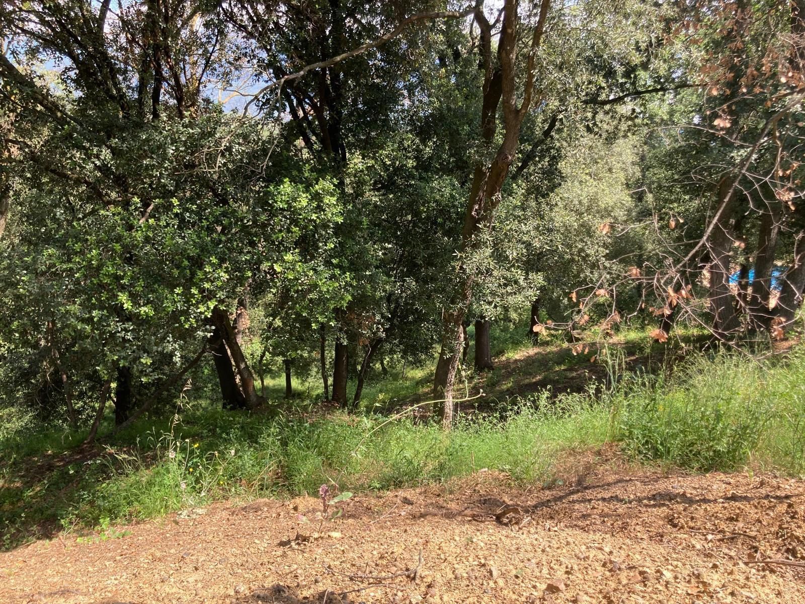 Residencial en venta en Carrer Carrer de les Balears, 29, 29, Sant Pere de Vilamajor