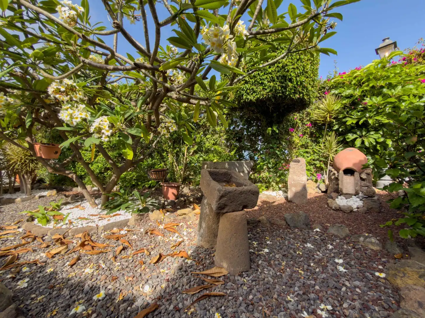 Jardí de Casa o xalet en venda en Icod de los Vinos