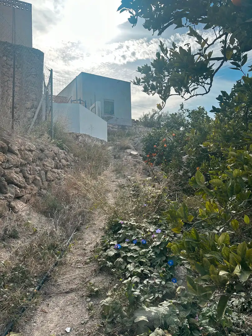 Rustikales Grundstück zum Verkauf in Alhama de Almería, imagen 4
