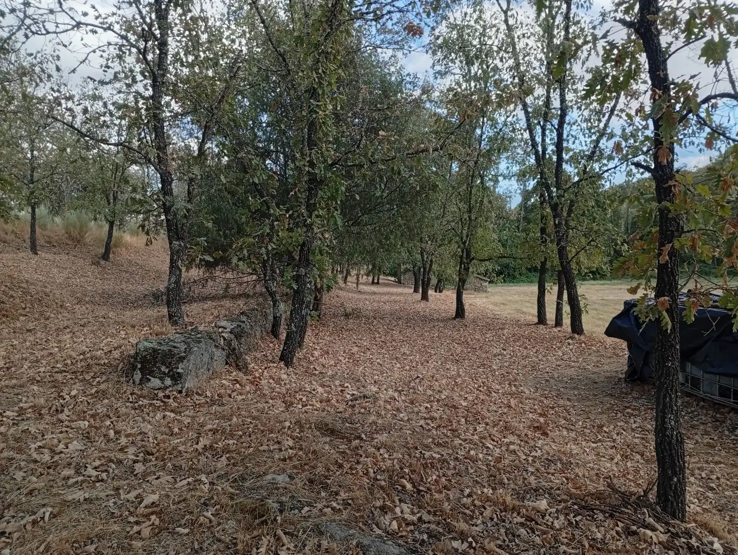 Terreni e lotti in vendita a Villanueva de la Vera, imagen 112