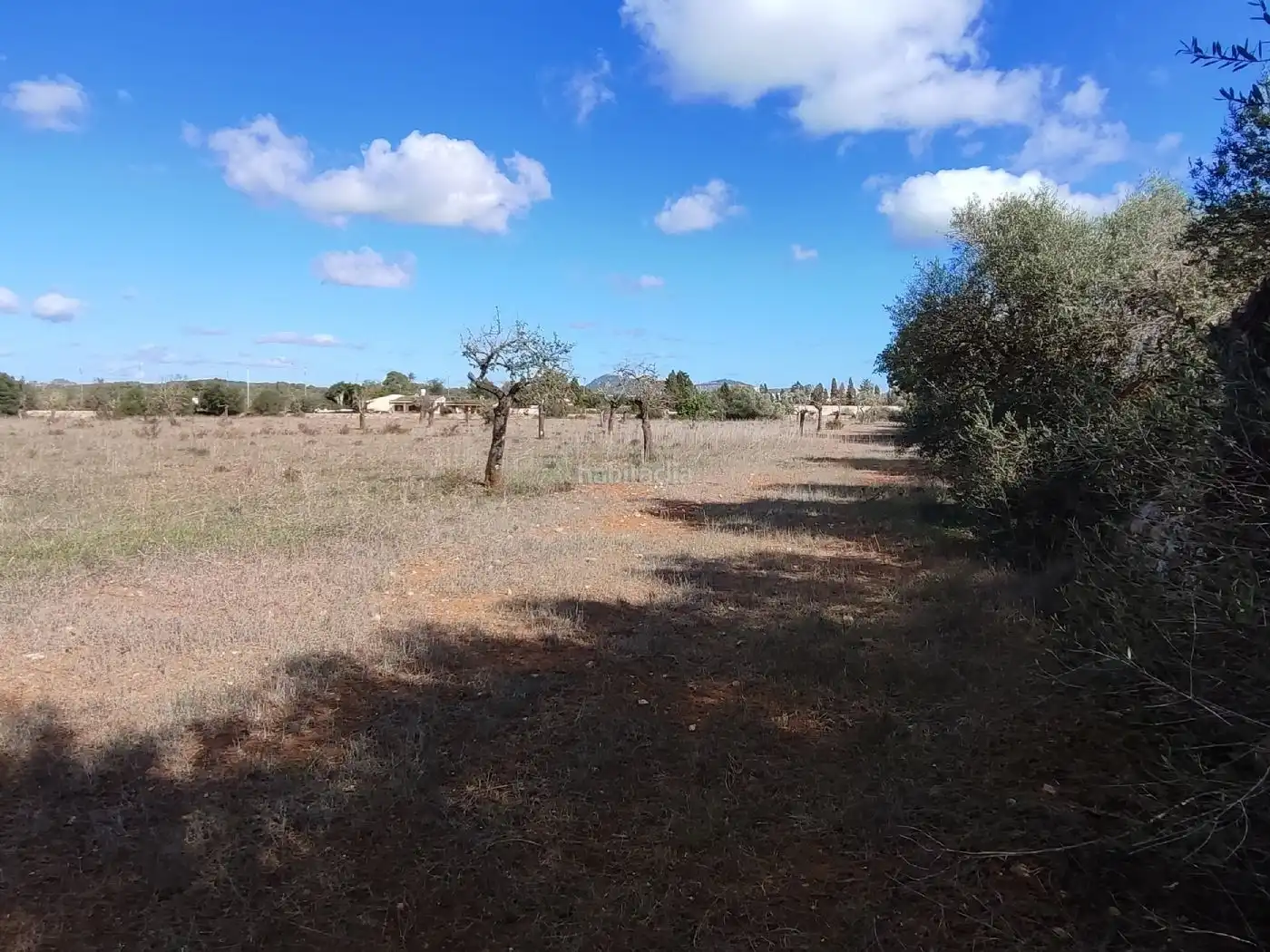 Wohnbaugrundstück zum Verkauf in Camí de son Antelm 89, imagen 2