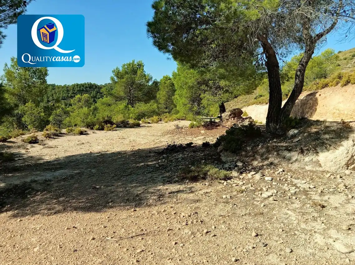 Terrenys i solars en venda a Onil, imagen 11