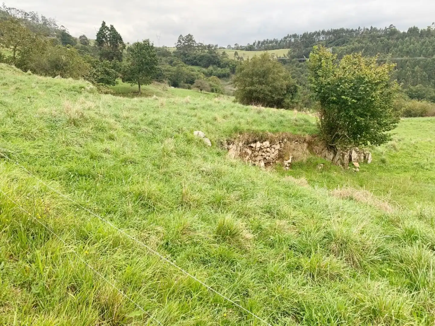 Terreno en venta en Udías